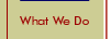 What We Do